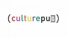 poster-14720-pas-vu-a-la-tele-2010-02-09-236x132