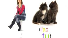 poster-14738-l-actu-2010-01-24-236x132