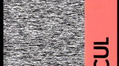 poster-14772-rosa-et-ses-amis-virtuels-2010-05-16-236x132