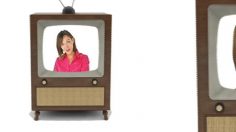 poster-14798-la-saga-des-protections-feminines-2010-06-20-236x132