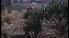 poster-1487-heineken-l-ornithologue-236x132