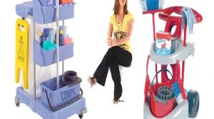 poster-14948-femmes-de-menage-2011-05-22-300x168