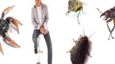 poster-14949-l-actu-2011-05-29-236x132