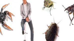 poster-14949-l-actu-2011-05-29-300x168