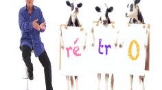 poster-14976-quand-lactel-prenait-les-vaches-pour-des-chiens-2011-10-02-236x132