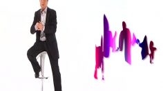 poster-14991-la-famille-vue-par-la-pub-2011-11-06-236x132