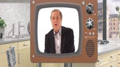 poster-14992-quand-vogica-mettait-des-ados-rebelles-dans-ses-cuisines-2011-11-06-236x132