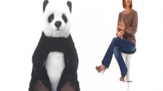 poster-14999-panda-cheese-2011-11-13-236x132