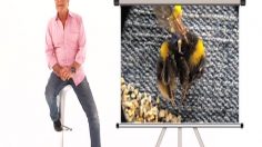 poster-15030-la-plus-grande-animation-en-stop-motion-du-monde-2011-09-11-236x132