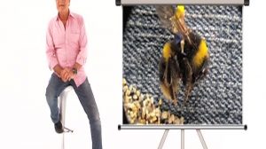 poster-15030-la-plus-grande-animation-en-stop-motion-du-monde-2011-09-11-300x168