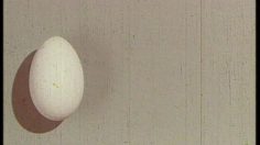 poster-1516-lustucru-coquillettes-addition-236x132