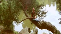 poster-15165-attention-sms-au-volant-2012-07-30-236x132