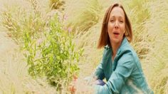 poster-15168-le-fantasme-de-toutes-ces-femmes-2012-07-23-236x132