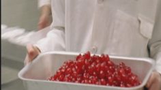 poster-15176-skoda-fabia-car-cake-236x132