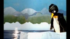 poster-15250-mtv-protection-environnement-marie-236x132