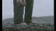 poster-15265-motorola-color-pebl-skimming-pebble-236x132