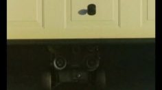 poster-15268-protection-environnement-act-on-co2-rev-rev-236x132