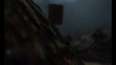 poster-15283-panasonic-viera-fisherman-236x132