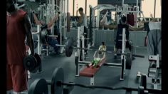 poster-15297-zoo-toronto-leprechauns-236x132