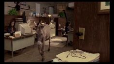 poster-15301-mtv-protection-environnement-office-236x132