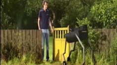 poster-15332-mcdonald-s-wild-barbie-236x132