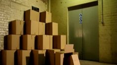 poster-15334-platform-animation-festival-box-236x132