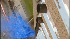 poster-15342-sony-bravia-paint-236x132