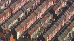 poster-15354-tango-clear-bravo-236x132