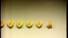 poster-1540-barilla-pates-et-crevette-236x132