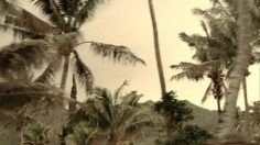 poster-15405-mtv-just-like-daddy-236x132