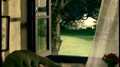 poster-15434-neosaldina-bird-236x132