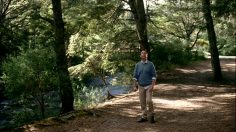 poster-15440-citroen-c3-diesel-birds-236x132