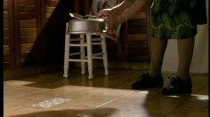 poster-15472-tiernitos-soft-toy-236x132