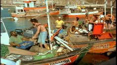 poster-15528-collective-du-lait-got-milk-laugh-town-236x132