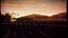 poster-1554-barilla-champs-de-ble-236x132