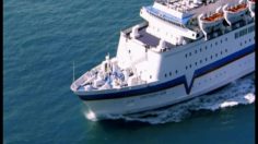 poster-15555-jaffas-confectionery-barre-chocolate-bear-on-a-boat-236x132