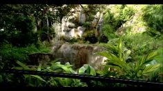 poster-15573-bud-light-great-apes-236x132