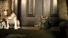 poster-15583-b-pinneaple-drink-jus-de-fruit-it-s-a-giiirrrlll-236x132