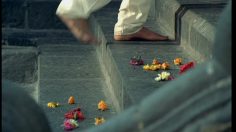 poster-15590-kiwi-cirage-kalu-the-shoes-thief-236x132