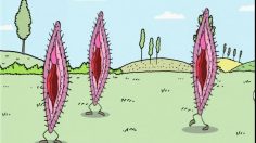 poster-15599-durex-preservatif-we-want-more-tampax-236x132