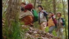 poster-156-suntory-limited-whisky-l-ours-236x132