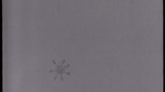 poster-1560-barilla-ballets-de-couverts-236x132