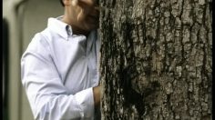 poster-15642-lottomatica-grattaevinci-hide-and-seek-236x132