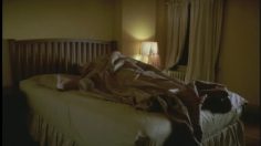 poster-15643-media-headquarters-souvenir-of-canada-film-maple-236x132