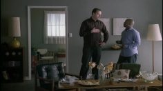 poster-15646-bc-lions-canadian-football-league-fabric-softener-236x132