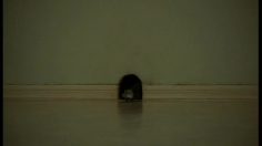 poster-15667-tmb-bank-public-company-tmb-step-loans-mouse-236x132