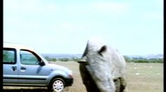 poster-157-renault-kangoo-rhino-236x132