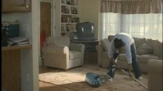 poster-15708-protection-enfance-adoption-enfants-hamster-236x132