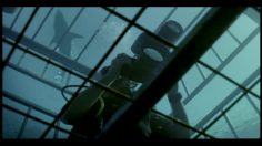 poster-15718-travelers-traveler-s-insurance-shark-236x132