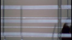 poster-15724-heinz-tomato-ketchup-guinea-pig-236x132